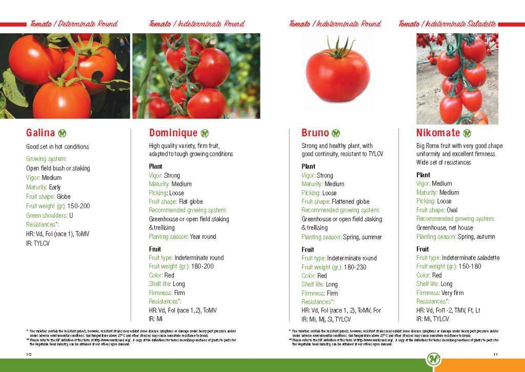 Hazera Seeds Catalogue – From Israel - Greenworld Co. Ltd