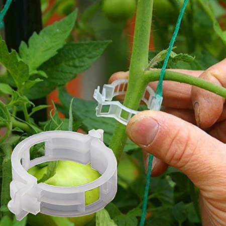 Plant Support Garden Clips for Vine Vegetables, Tomato Trellis Clips, Greenworld Co. Ltd, Mauritius